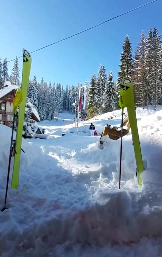 Bed And Breakfast Vila Lala Núi Núi Jahorina Ngoại thất bức ảnh