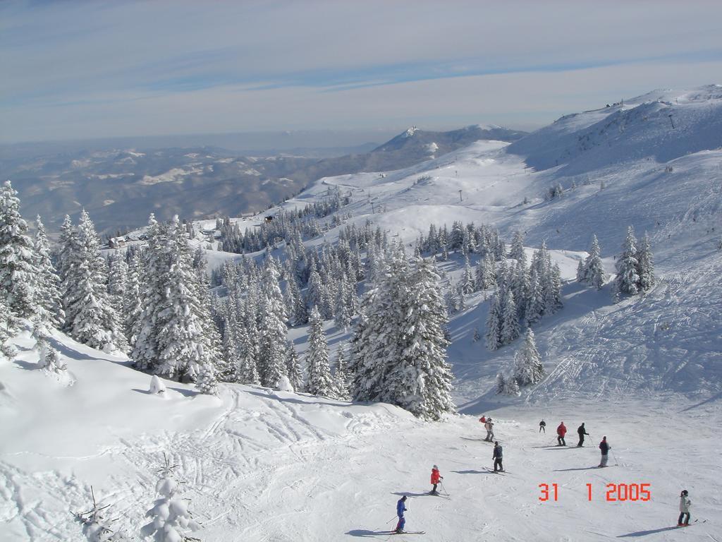 Bed And Breakfast Vila Lala Núi Núi Jahorina Ngoại thất bức ảnh