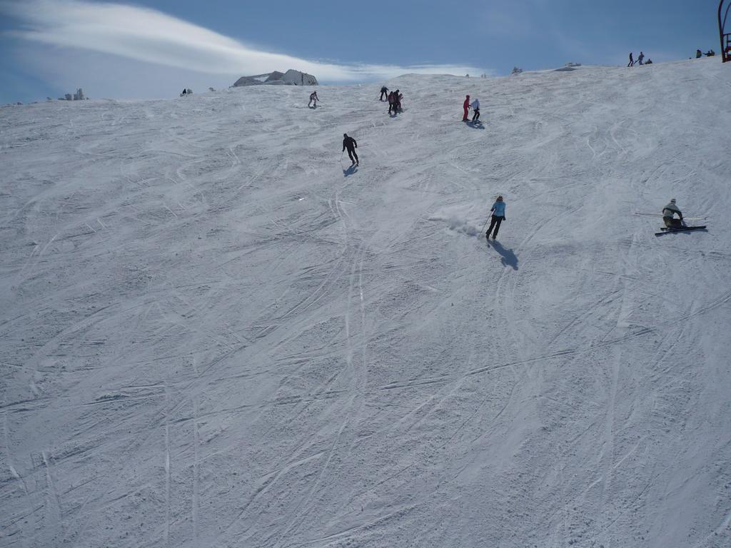 Bed And Breakfast Vila Lala Núi Núi Jahorina Ngoại thất bức ảnh